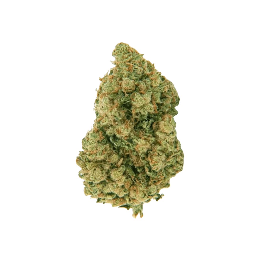 biscotti cbd buds denmark