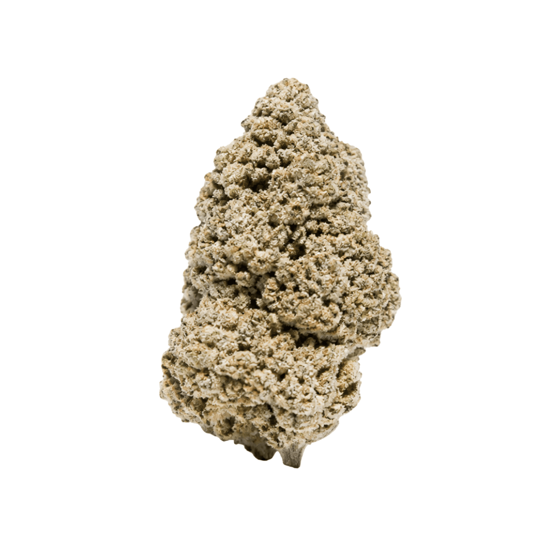 kush buds
