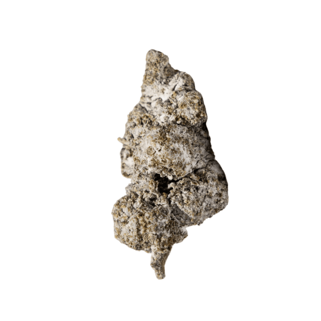 jack herer buds topskud