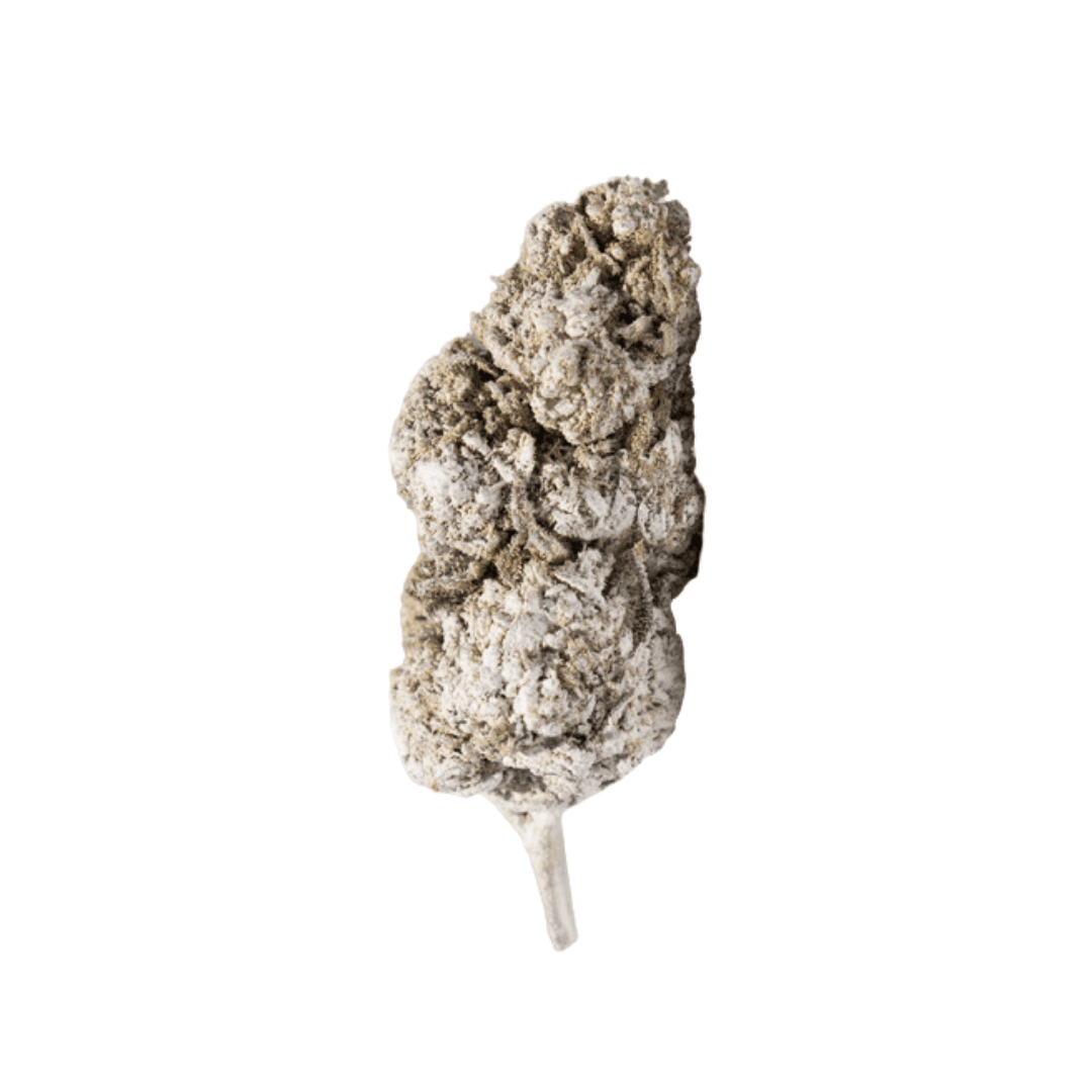 northern thca topskud