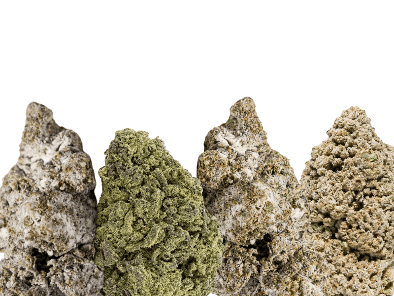 THCA Topskud